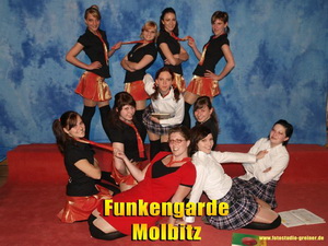 Die Molbitzer Funkengarde beim 8. Showtanz Grand Prix