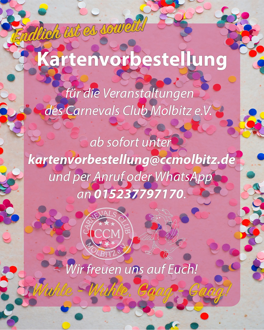 Termine zum 63. Molbitzer Karneval